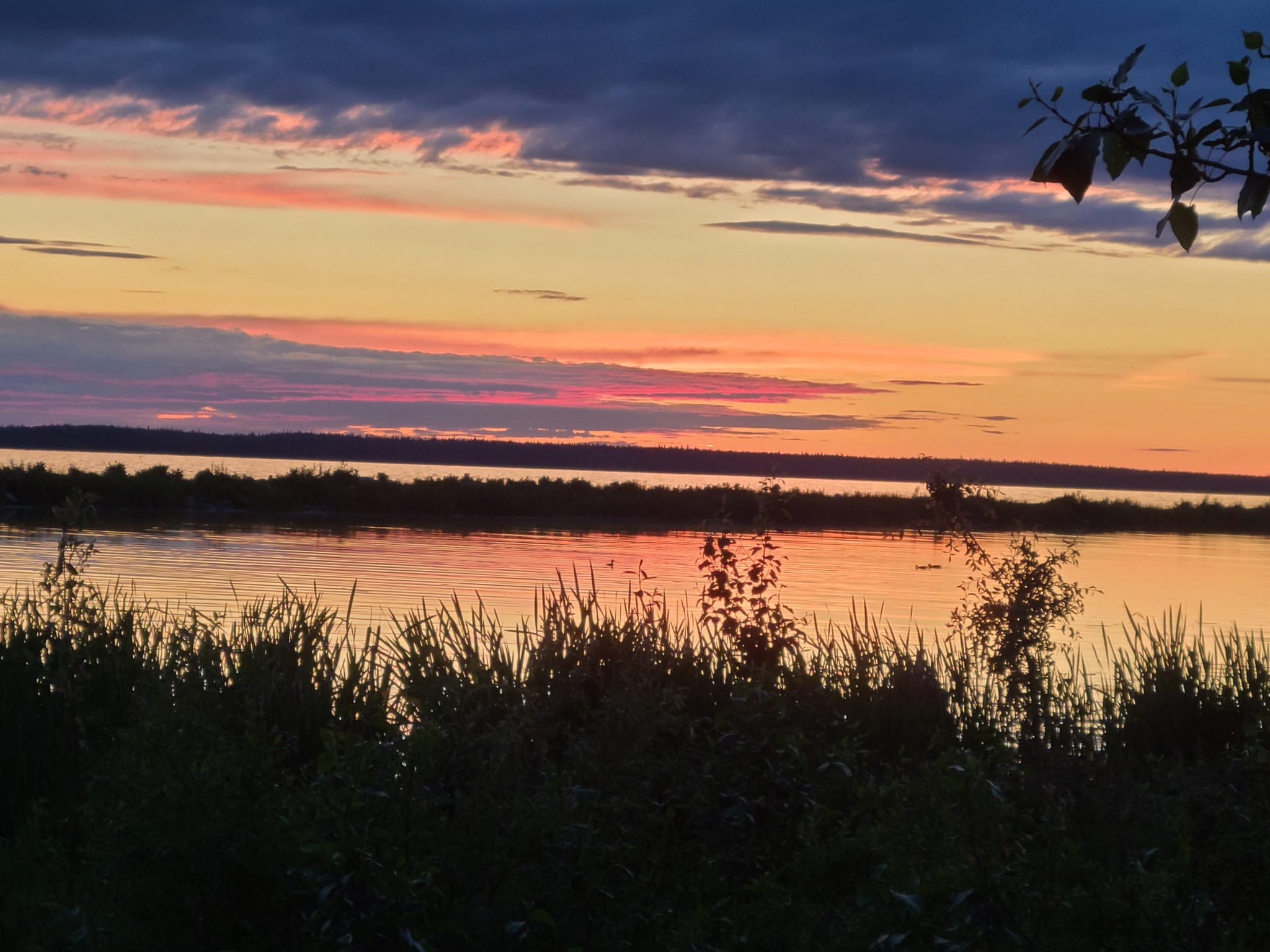 Pink and orange sunset over the reeds
